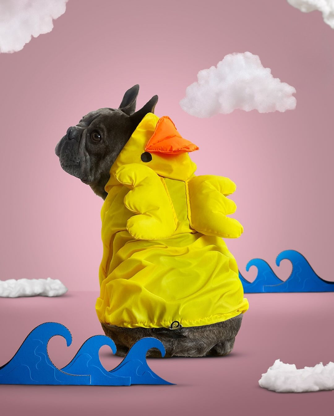 Cortaviento impermeable para perros