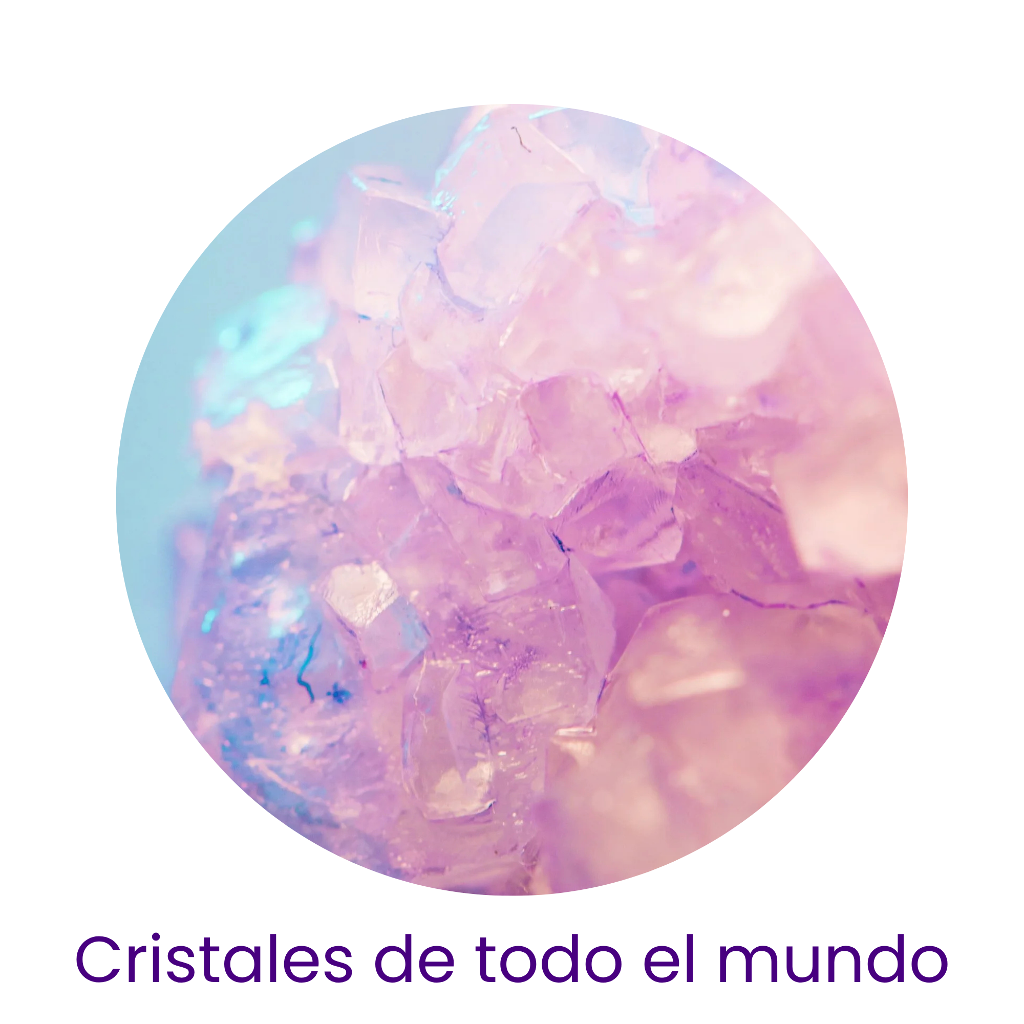 Elegidos uno a uno con amor 🧐