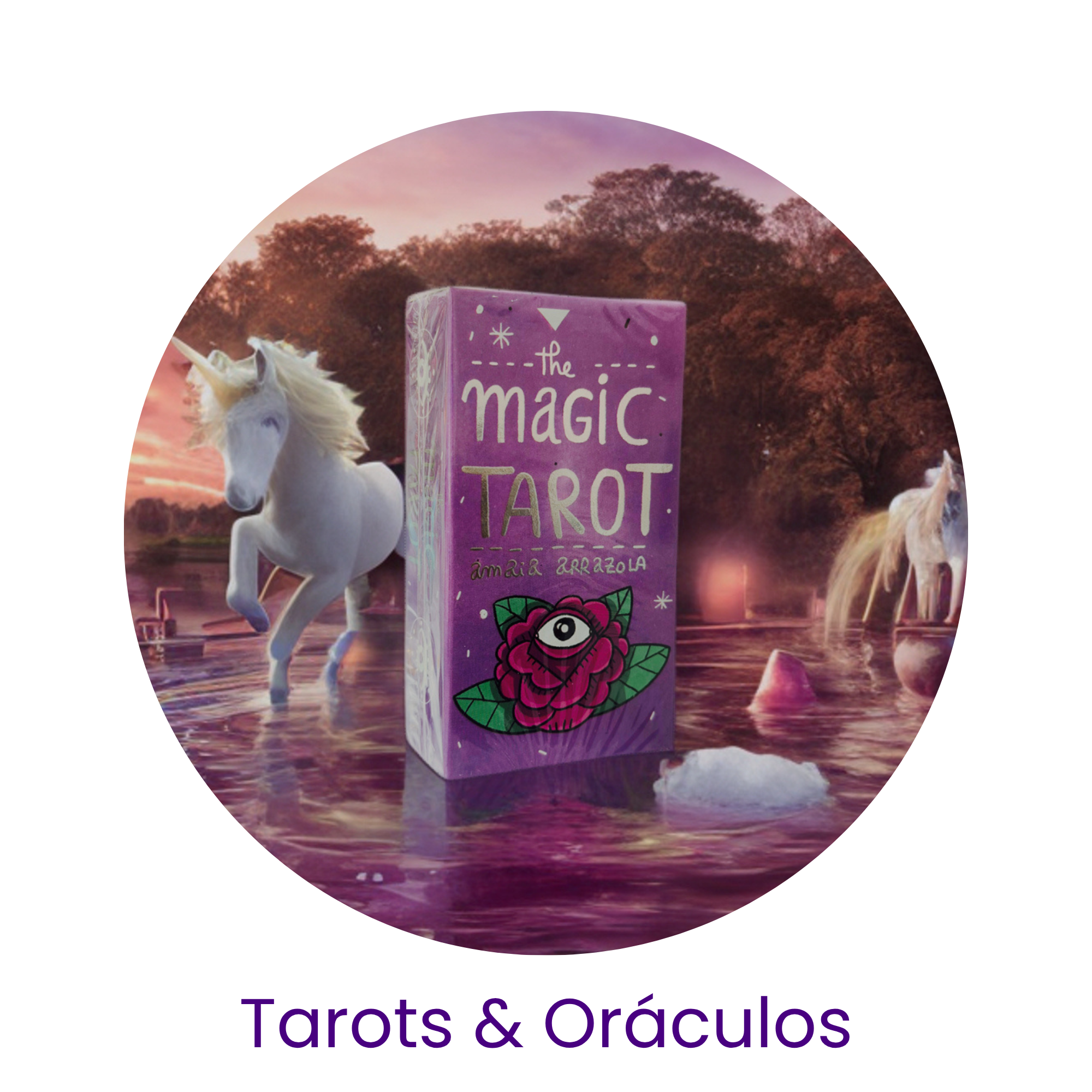 Elige uno de nuestra amplia selección 🔮
