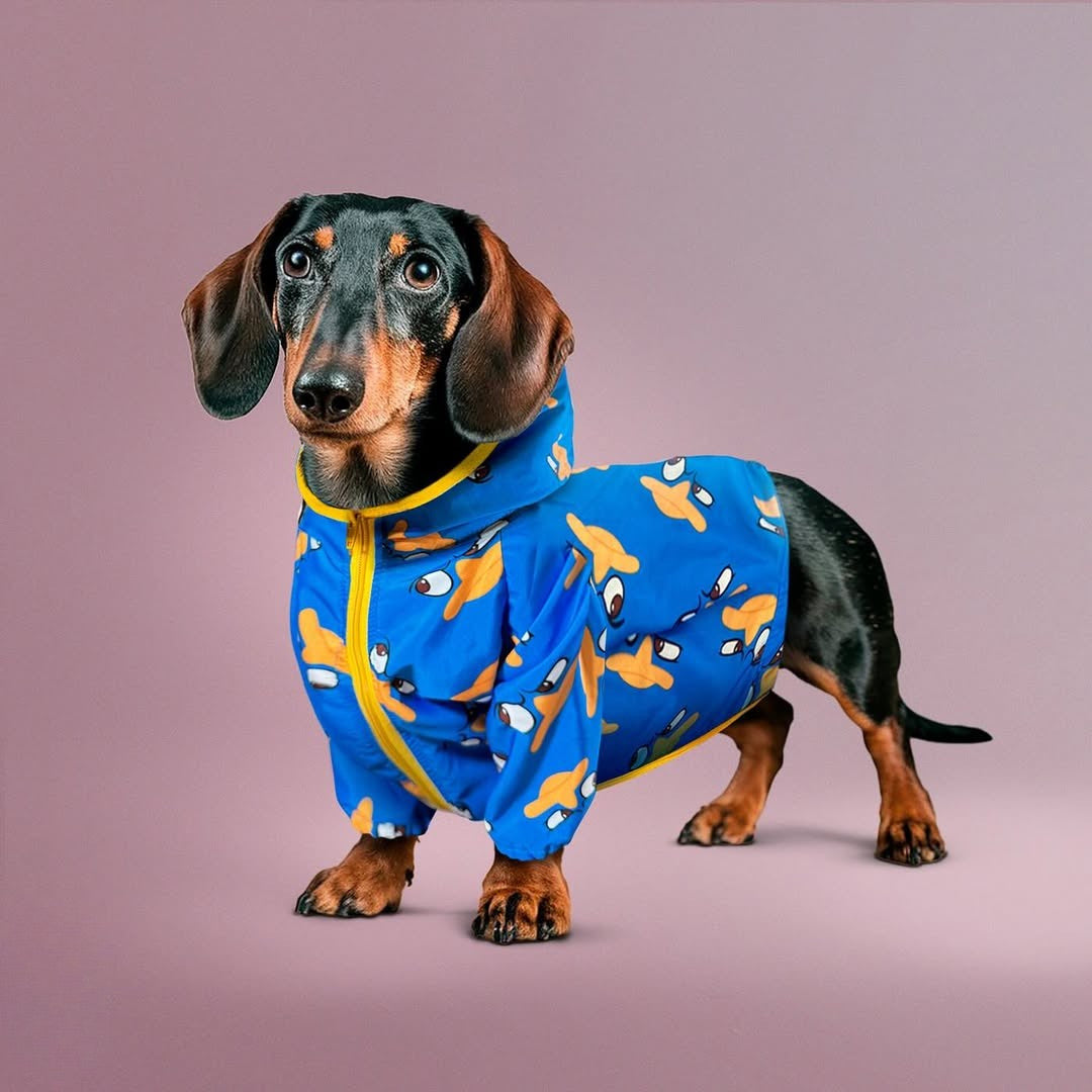 Cortaviento impermeable para perros