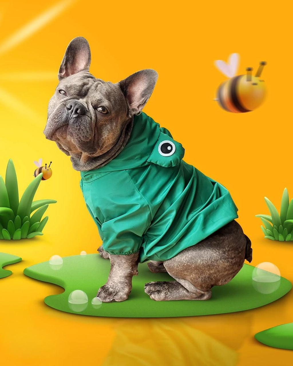 Cortaviento impermeable para perros