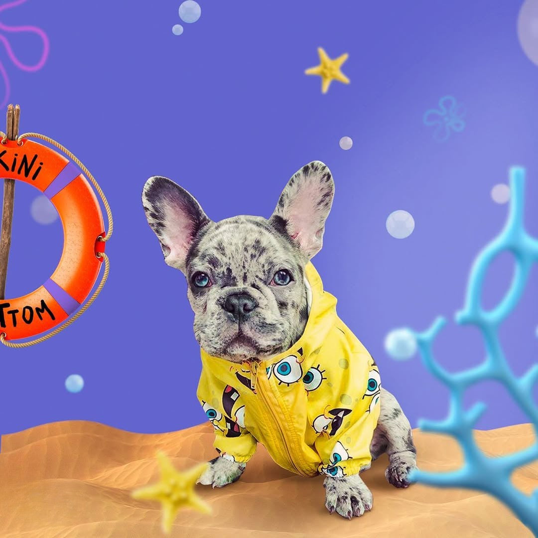 Cortaviento impermeable para perros