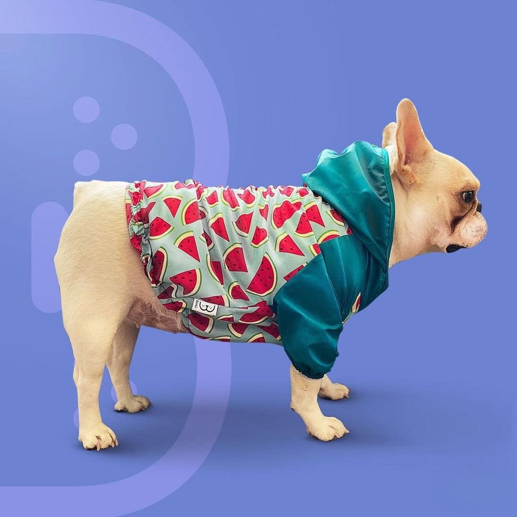 Cortaviento impermeable para perros