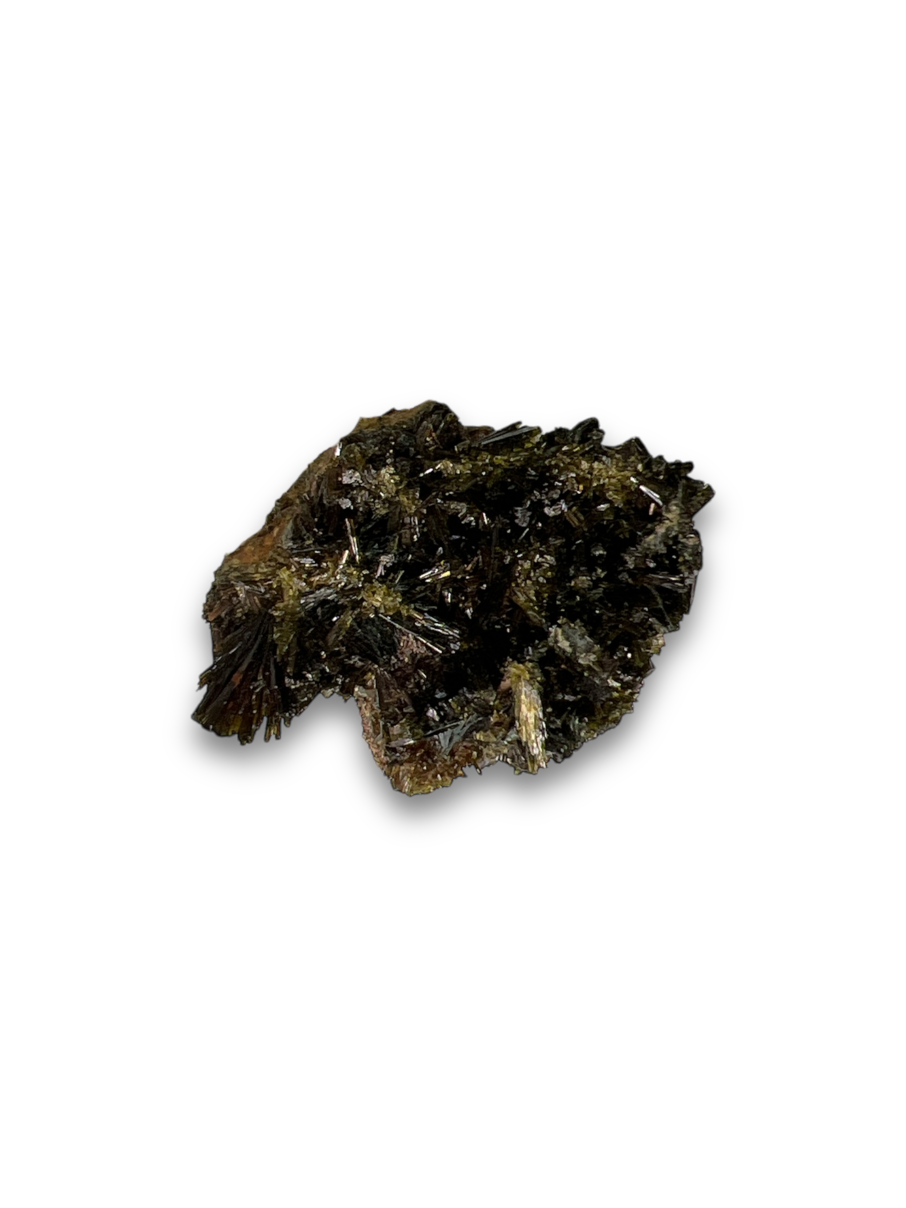 Epidota
