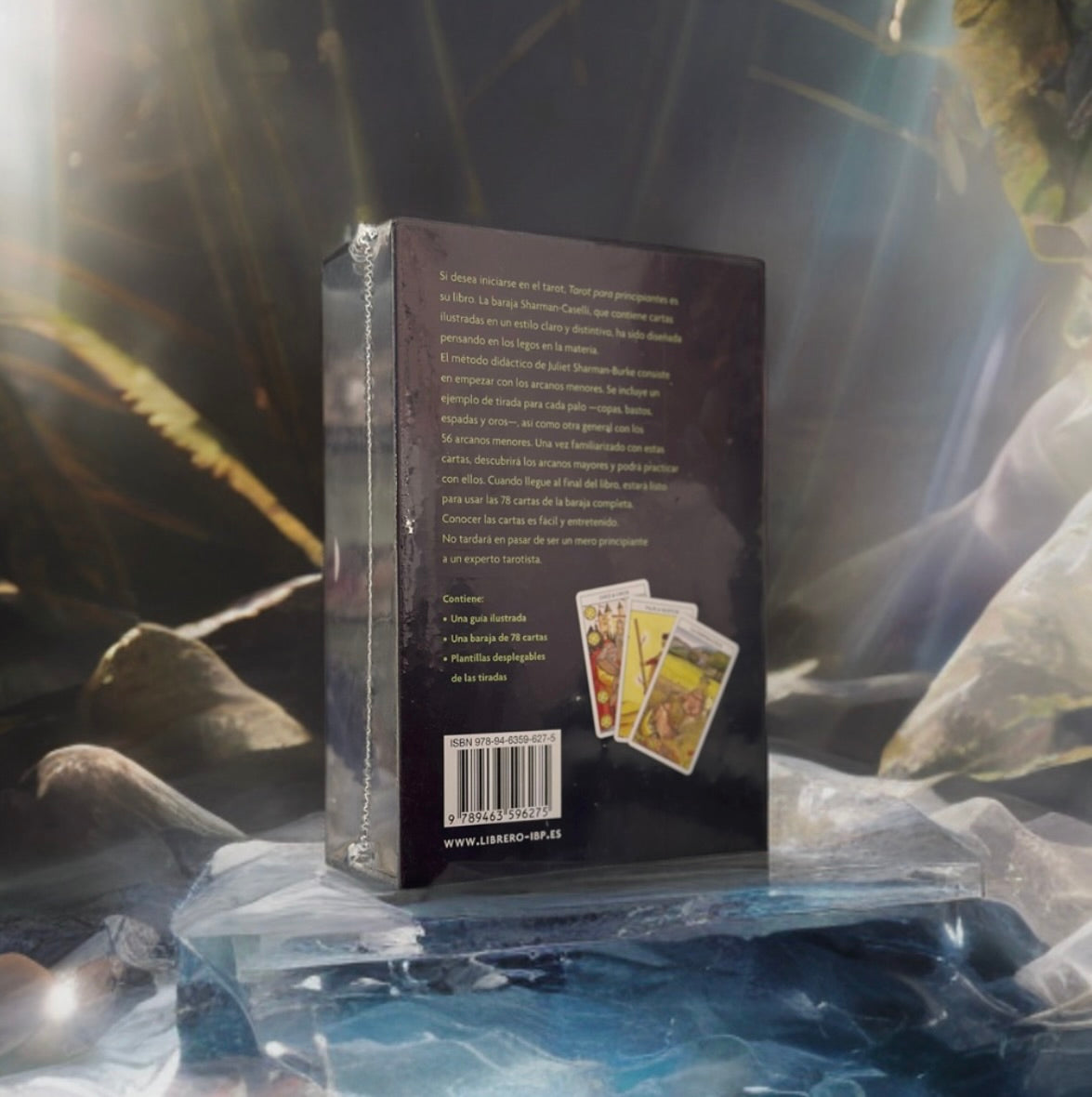 Tarot pour débutants par Juliet Sharman-Burke